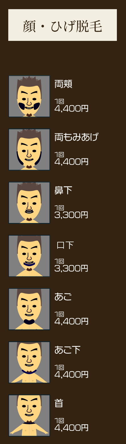 デザインひげ脱毛詳細