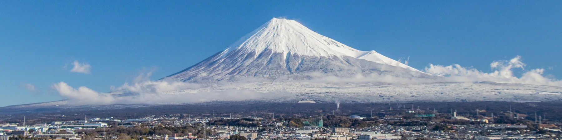bonds nose プレミアムメンバー特典の概要 バースデー特典・割引・限定情報