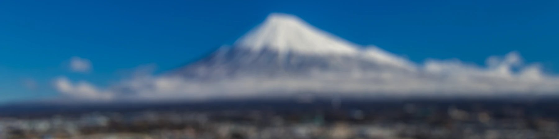 bonds nose プレミアムメンバー 会員特典 特別サービス